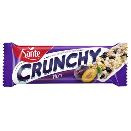 Santé Muesli Bar with Dried Plum & Vanilla 40g